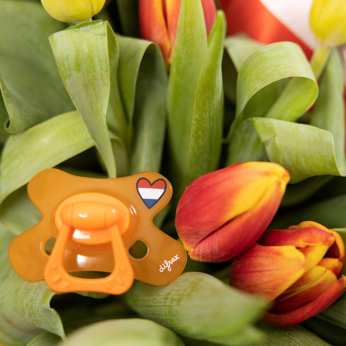 difrax-holland-schnuller-12-monate-orange-symmetrischer-schnuller-mit-schmetterl image 3